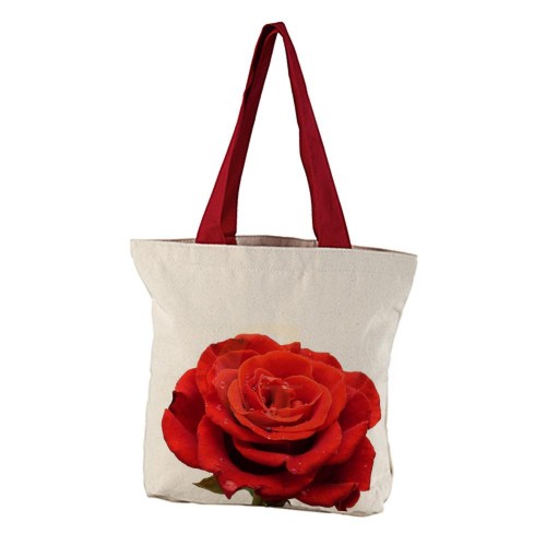 Linha Eco